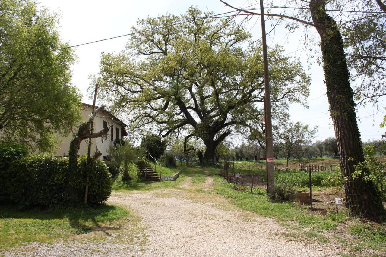Agriturismo Il Capannone Montemerano Luaran gambar