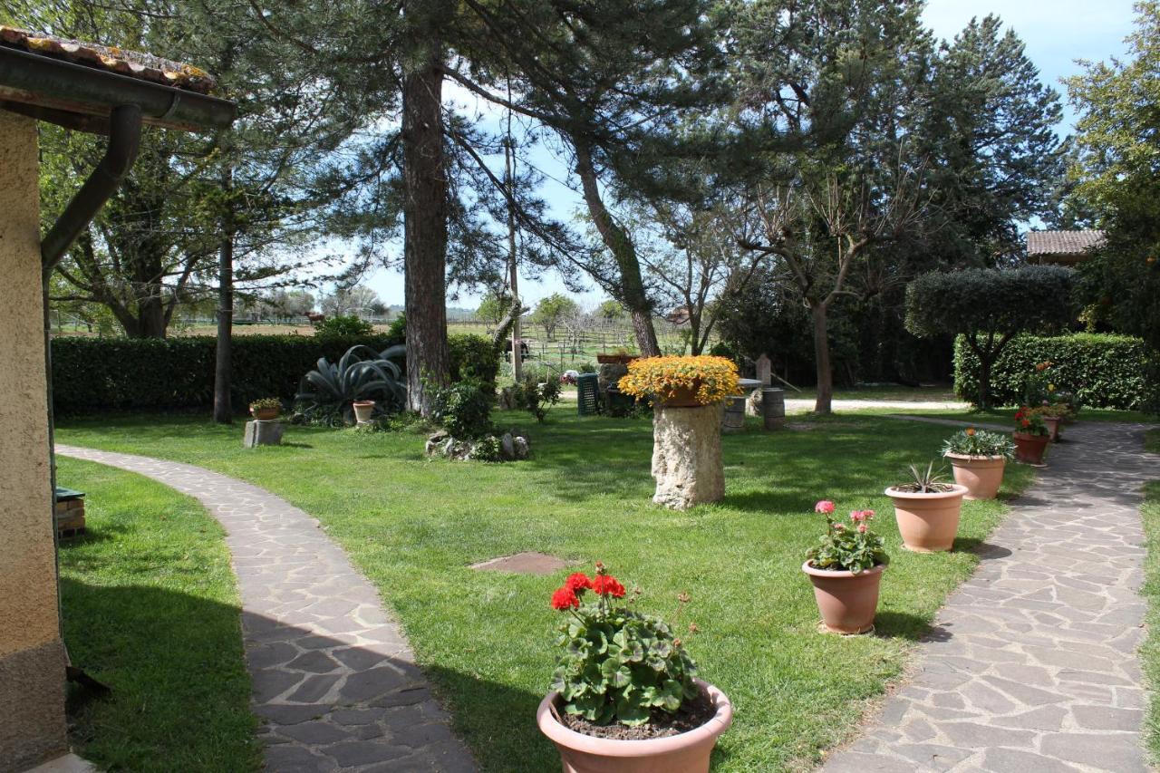 Agriturismo Il Capannone Montemerano Luaran gambar